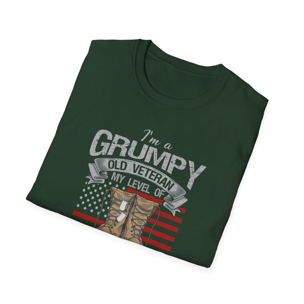 Grumpy Old Veteran Boots, T-Shirt | American Flag, Sarcasm Depends on Stupidity